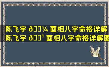 陈飞宇 🐼 面相八字命格详解「陈飞宇 🌹 面相八字命格详解图片」